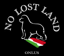 NO LOST LAND